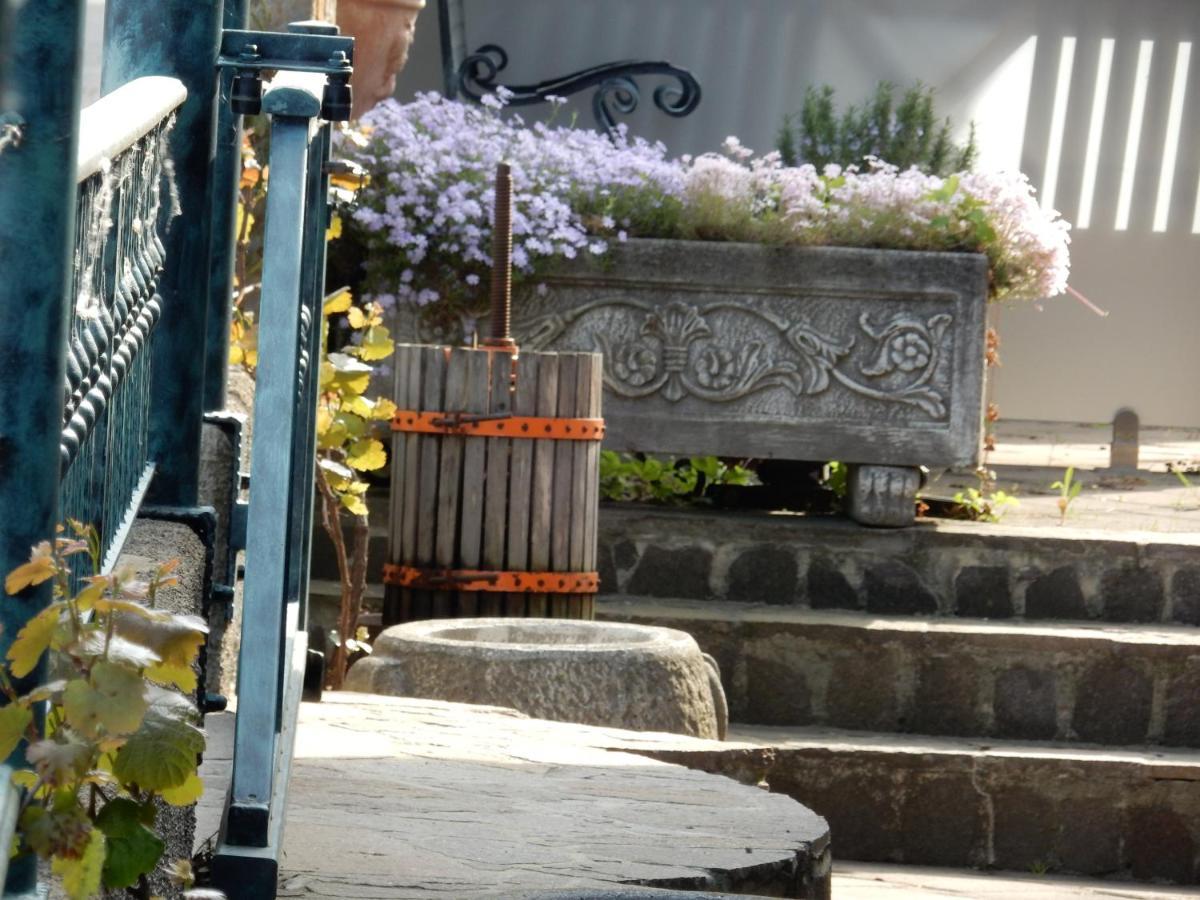 Garni Hotel Terano Maribor Ngoại thất bức ảnh